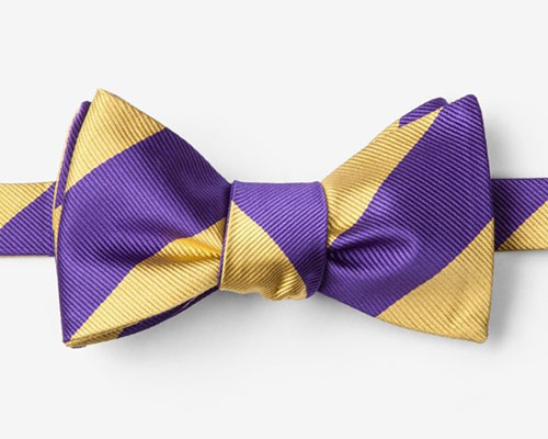 the playful bow tie